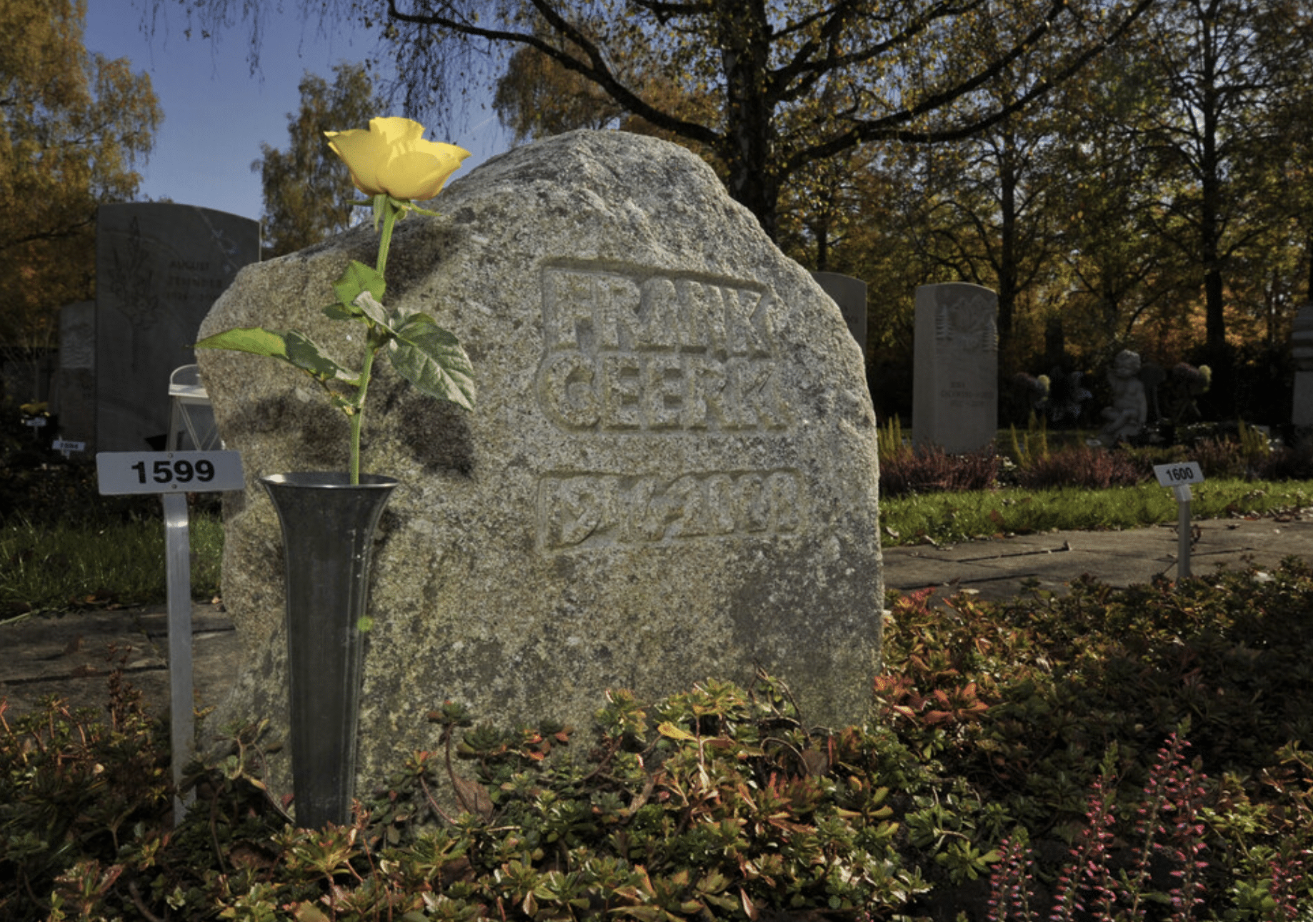 thebroker erste Covid-19 Auswertung Januar bis März 2020