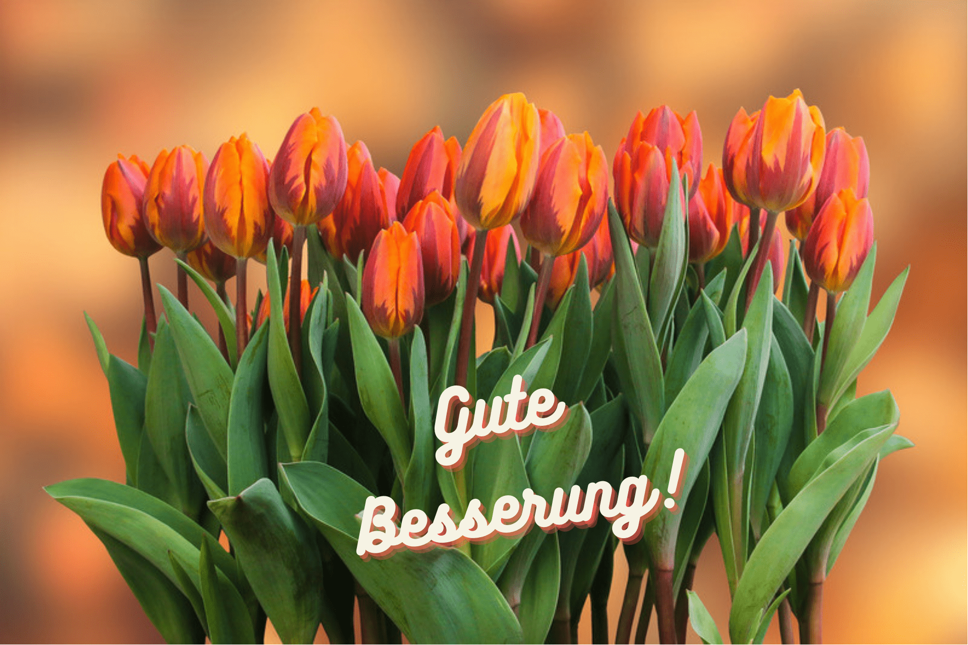 Sanitas versichert neu auch Kunden mit gesundheitlichen Vorbelastungen.