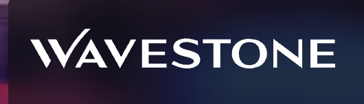 Hybrid Sales Index 2024 von Wavestone.