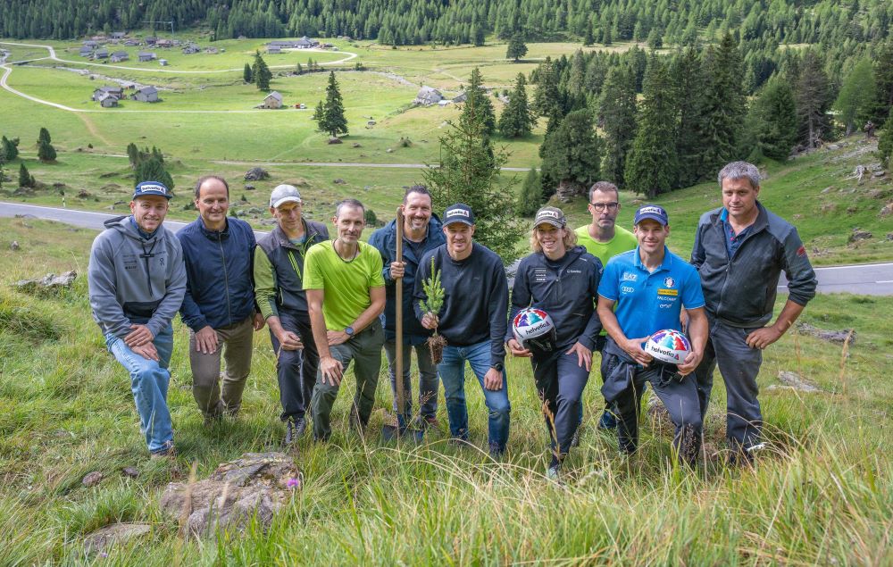 Schutzwald am Lukmanierpass: 2 000 von insgesamt 20 000 Bäumen sind gepflanzt.